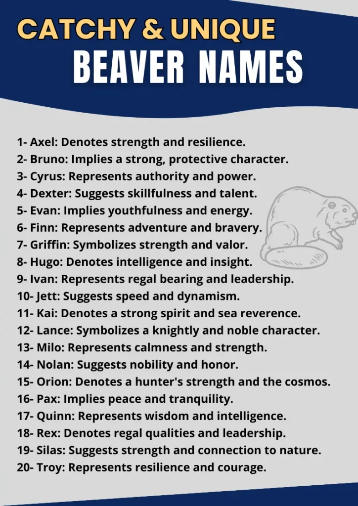 Catchy & Unique Beaver Names infographic