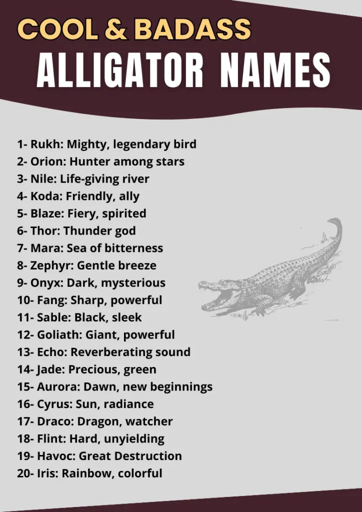 Cool & Badass Alligator Names infographic