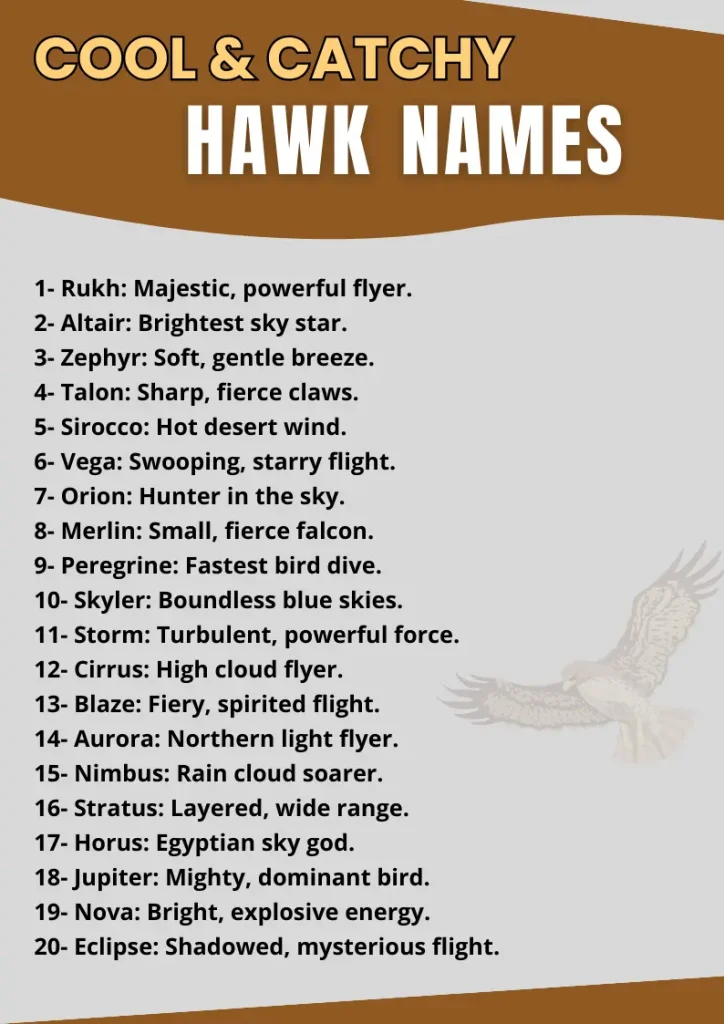 Cool & Catchy Hawk Names infographic