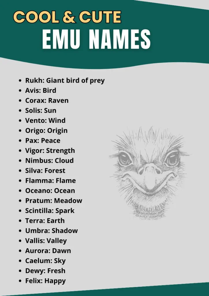 Cool & Cute Emu Names infographic