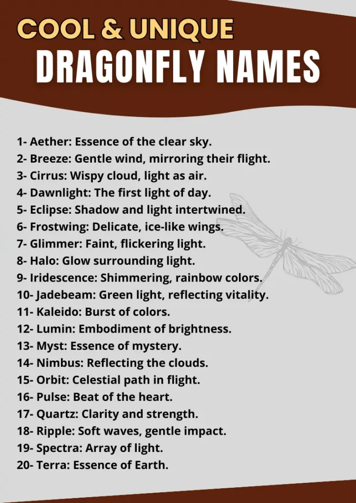 Cool & Unique Dragonfly Names infographic