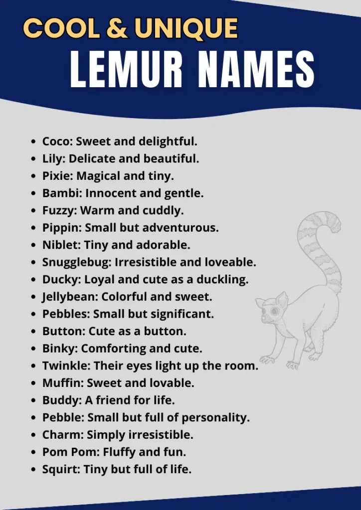 Cool & Unique Lemur Names infographic