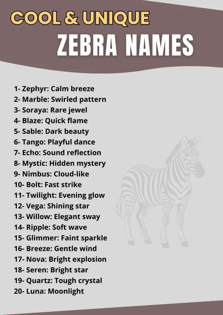 Cool & Unique Zebra Names infographic