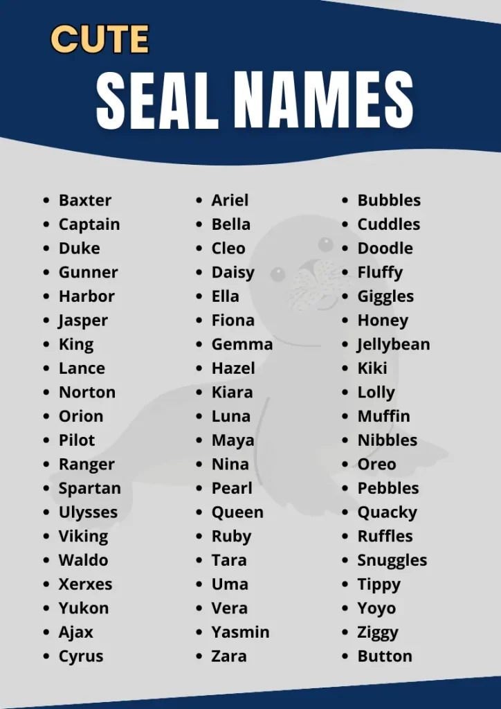 Cute Seal Names infographic