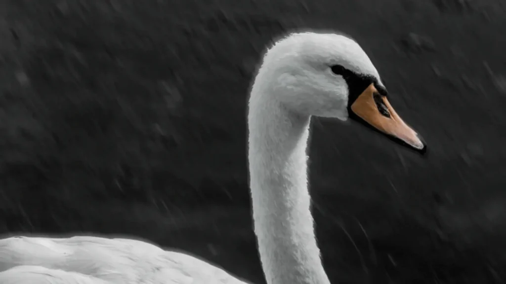 Funny Names for Swan