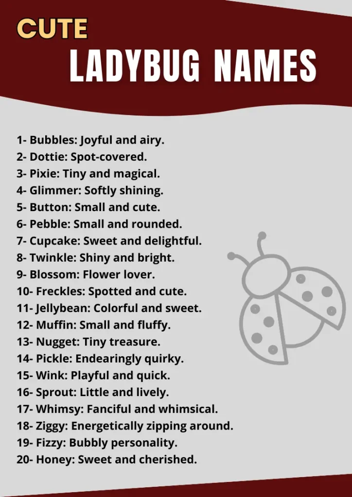 Ladybug Names infographic
