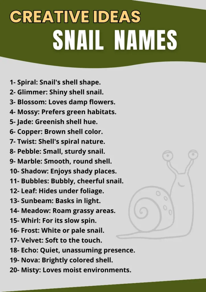 Snail Names infographic (1)