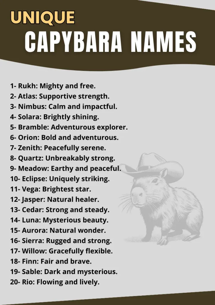 Unique Capybara Names infographic