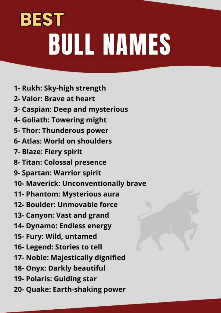Best Bull Names infographic