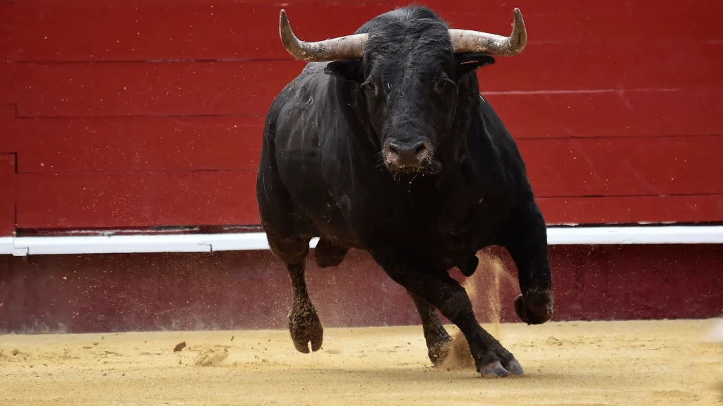 Cool Names for Bulls