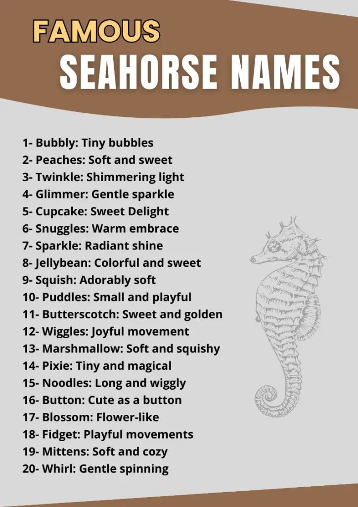 Seahorse Name Ideas