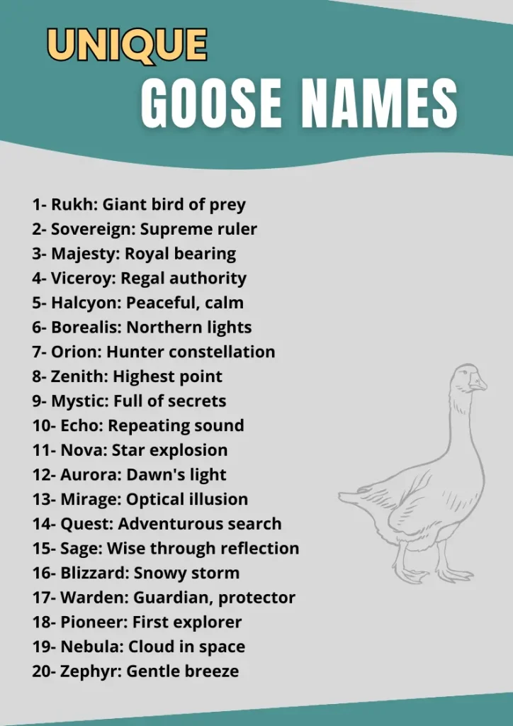 Best Goose Name Ideas