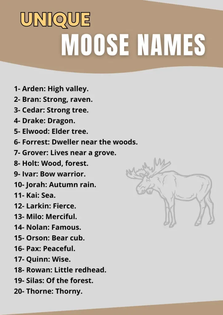 Unique Moose Names infographic