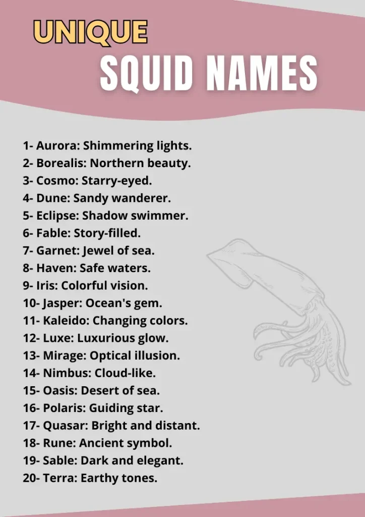 Unique Squid Names infographic