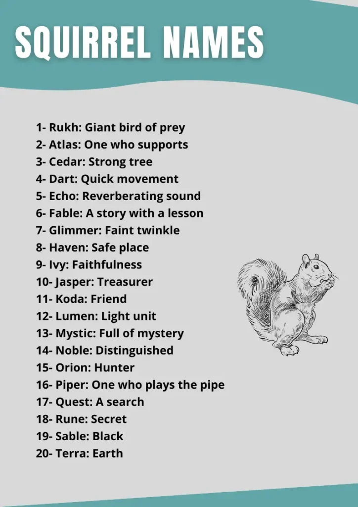 200+ Squirrel Names with meaning infographic
