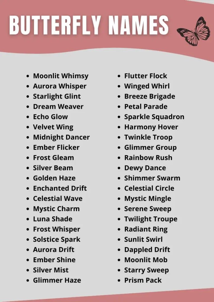 Butterfly Names infographic