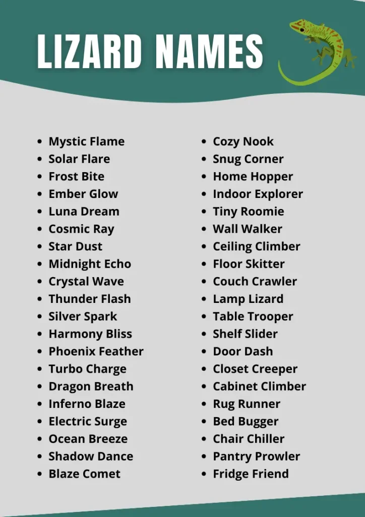 Lizard Names  infographic