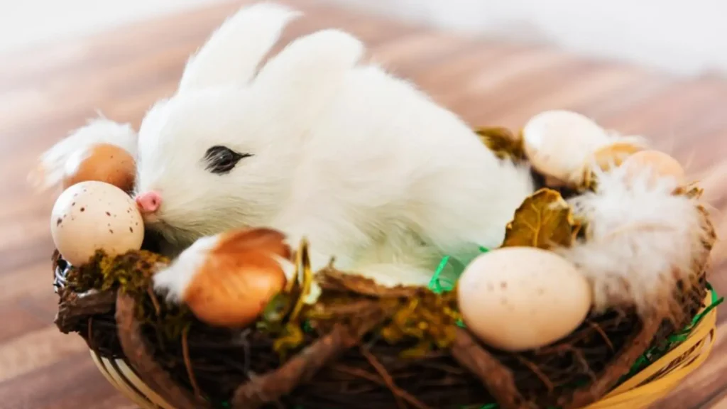 Cute Rabbit Names
