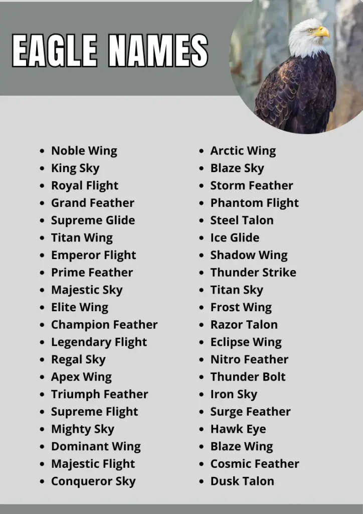 Eagle Names   infographic