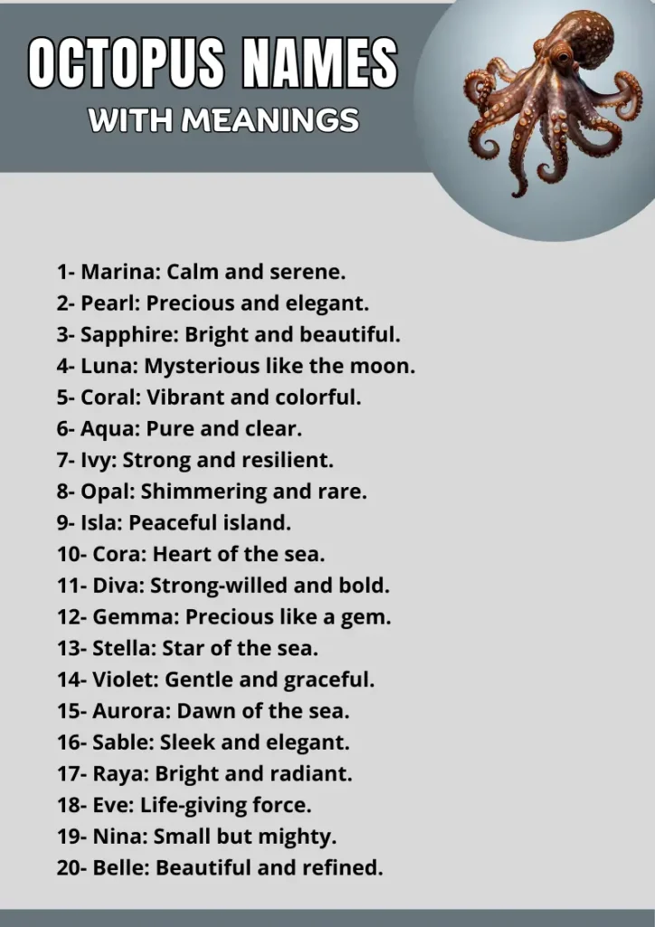 Octopus Names infographic