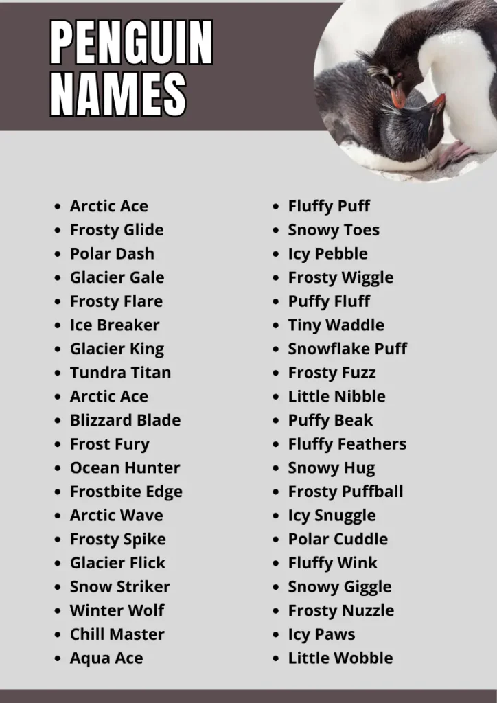 Penguin Names infographic