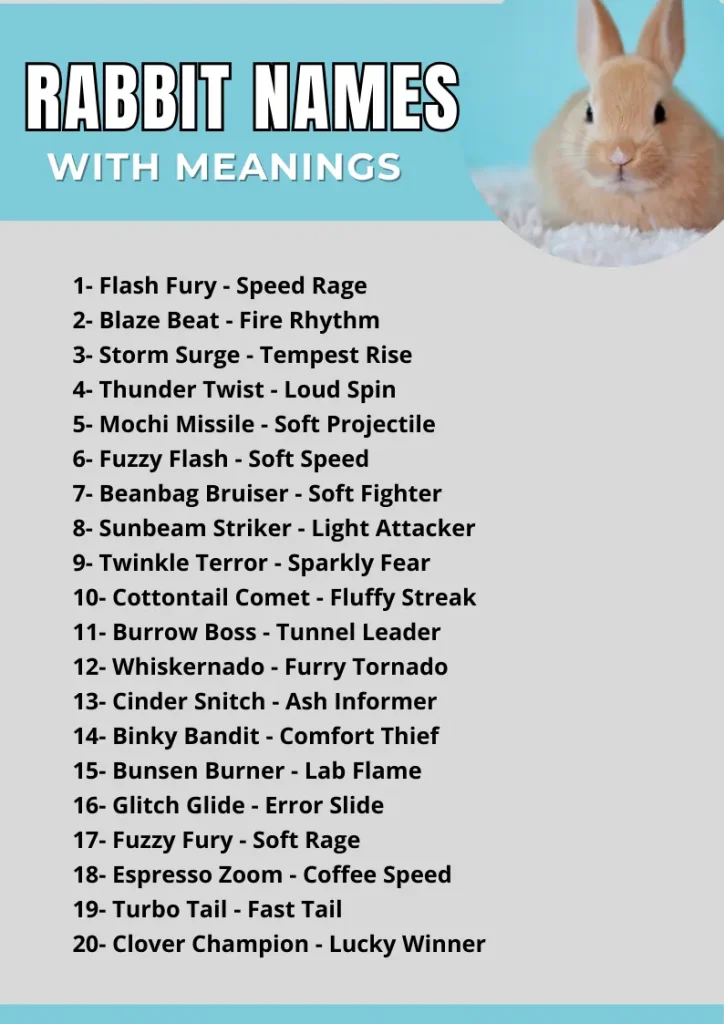 Rabbit Names infographic