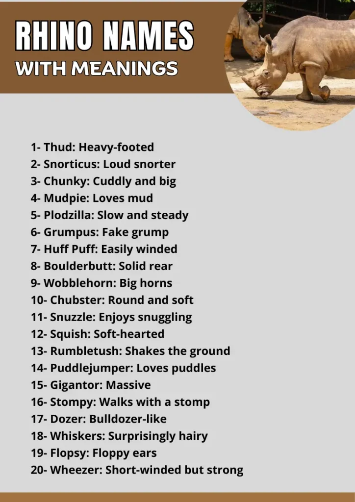 Rhino Names  infographic