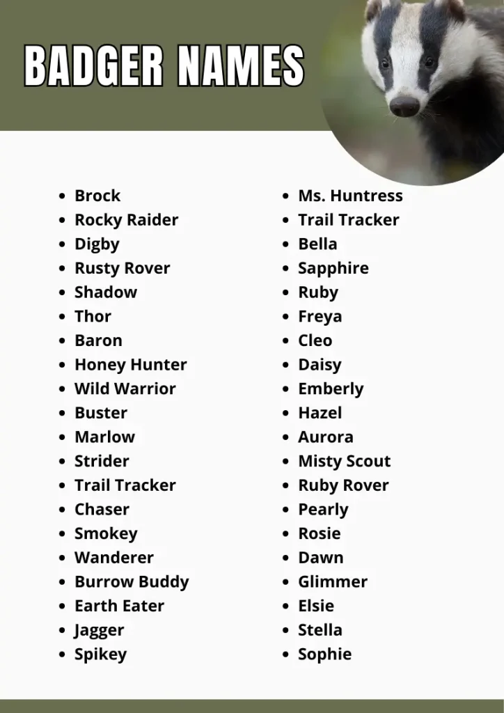 Badger Names infograpic