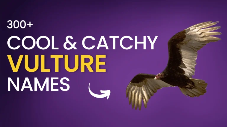 Cool & Catchy Vulture Names
