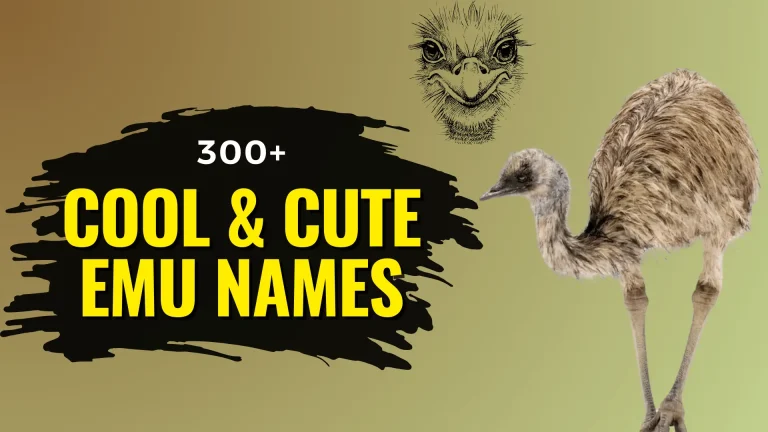 Cool & Cute Emu Names