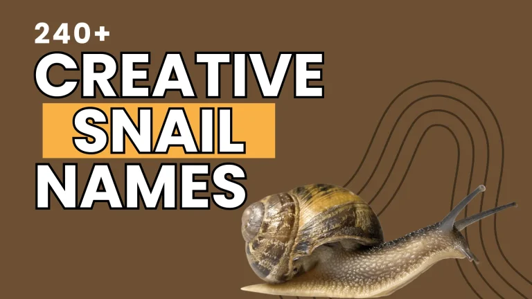Creative Snail Names