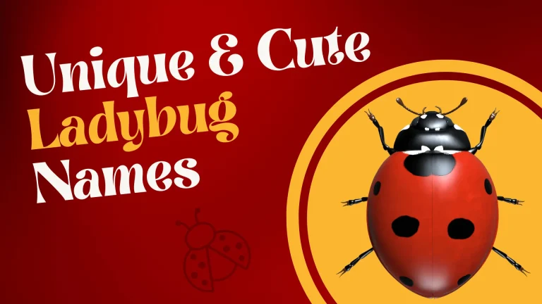 Unique & Cute Ladybug Names