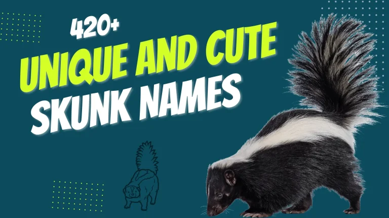 Unique and Cute Skunk Names