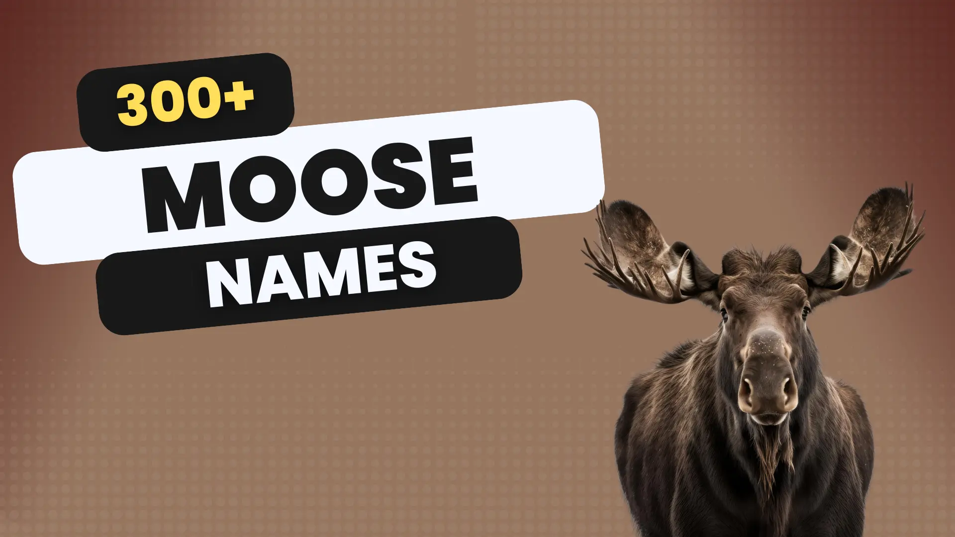 300+ Moose Names with Meaning + Generator
