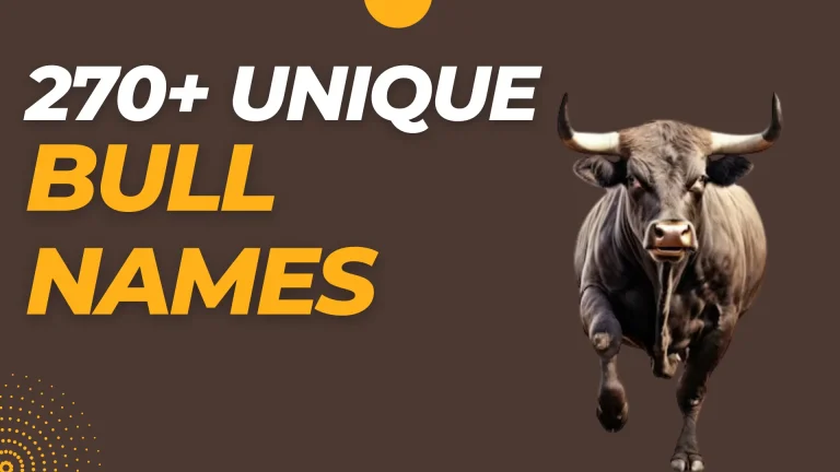 Best Bull Names