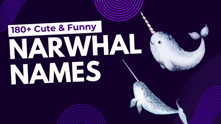 180+ Cute & Funny Narwhal Names