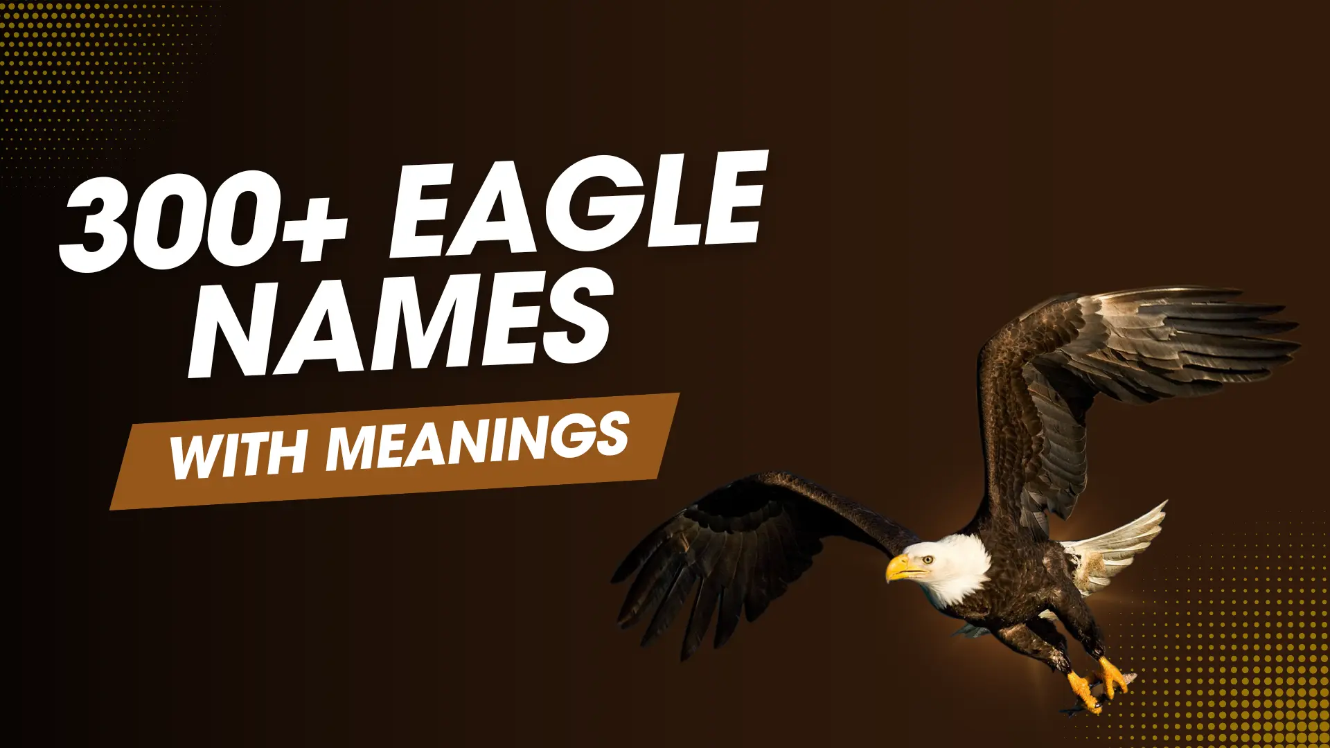 Eagle Names 