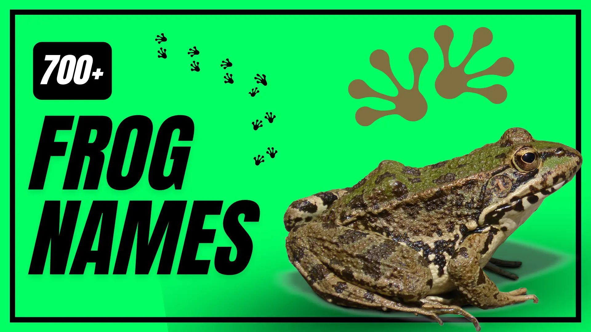 Frog Names