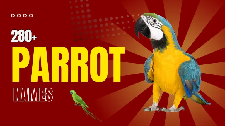 Parrot Names
