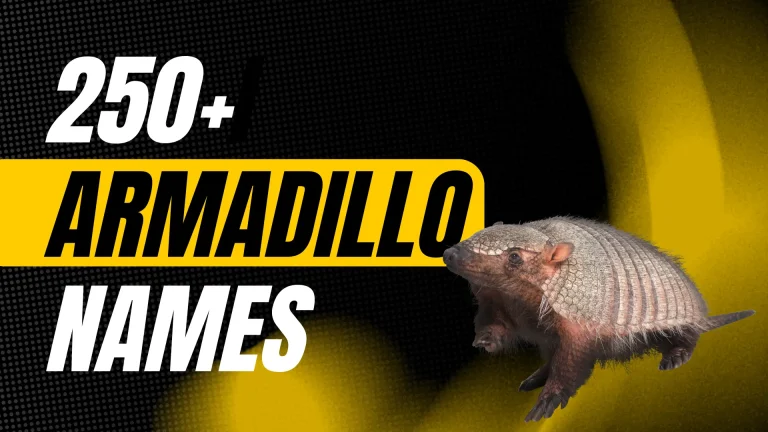 Armadillo Names