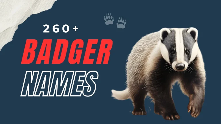 Badger Names