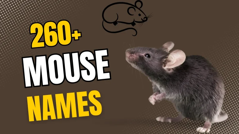260+ Mouse Names with Meanings + AI Generator