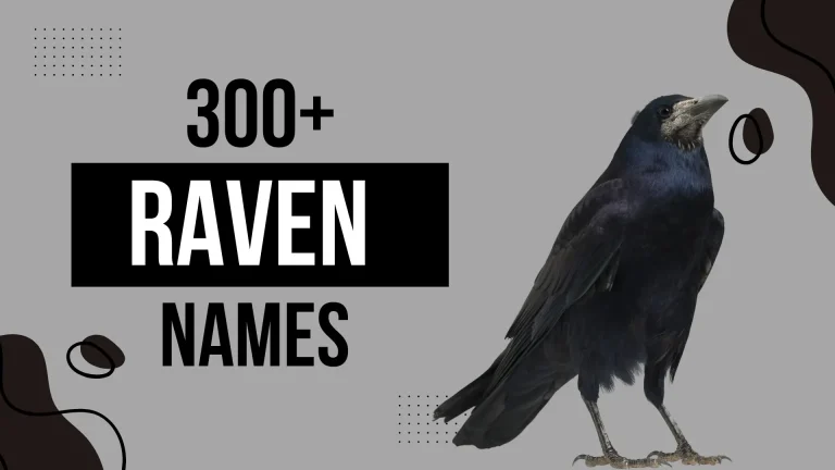 300+ Cute & Funny Raven Names + AI Generator